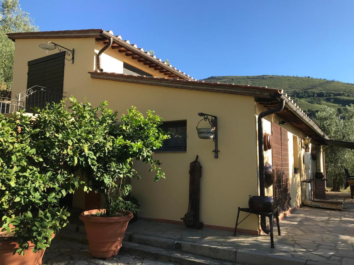 Campo Dei Lupi Holiday home