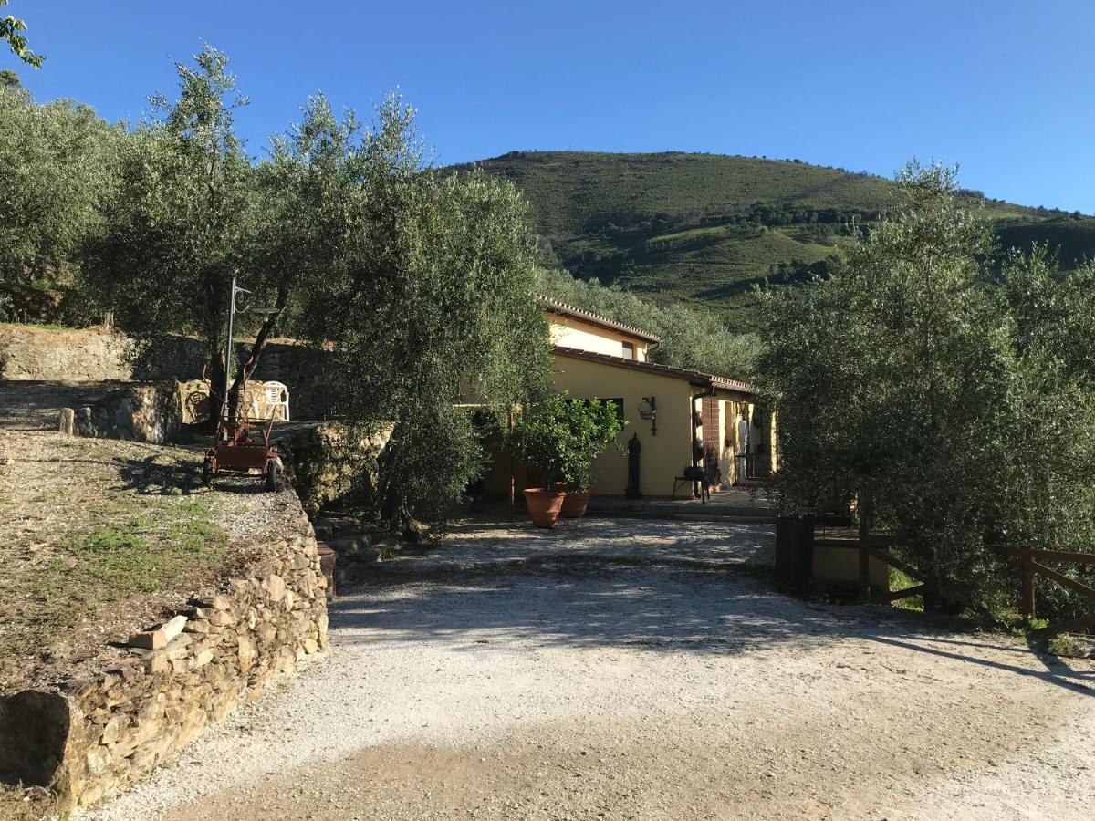 Casa de Férias Campo Dei Lupi Vicopisano