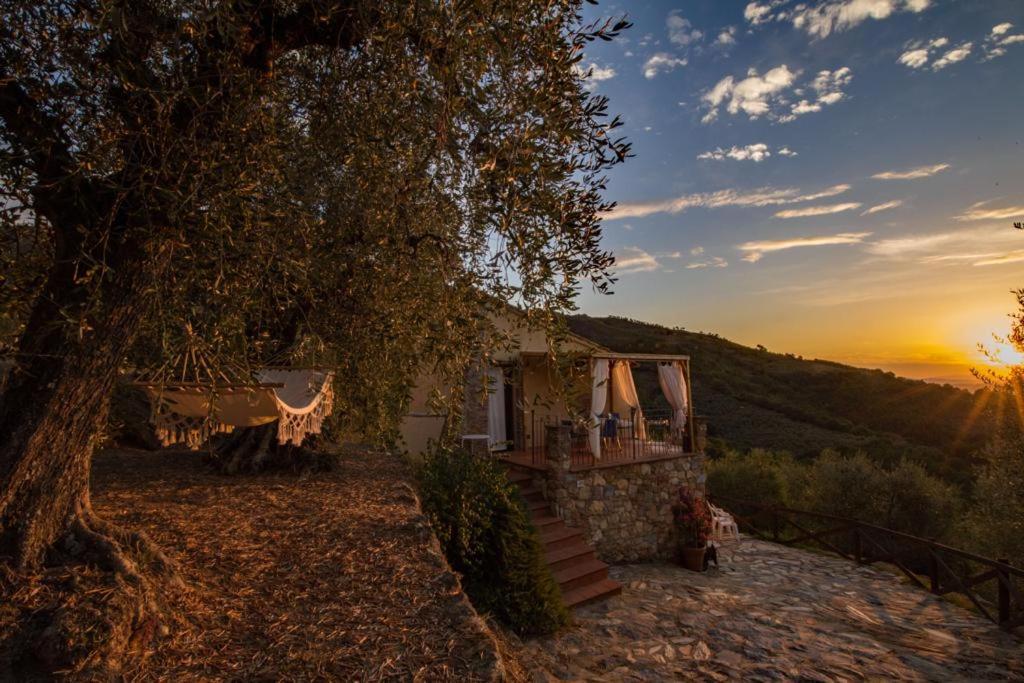 Campo Dei Lupi Agriturismo Vicopisano
