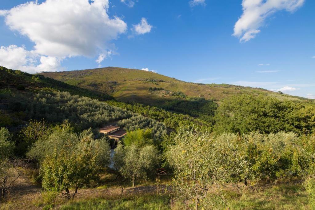 Campo Dei Lupi Casa de Férias *