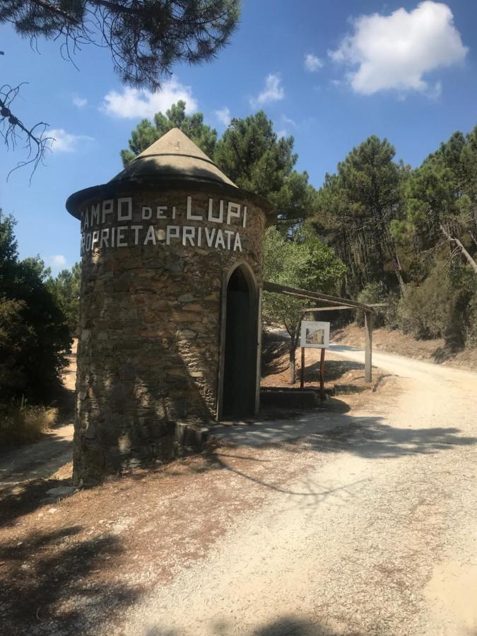 Campo Dei Lupi * Vicopisano