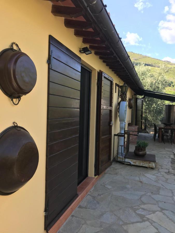 Casa de Férias Campo Dei Lupi Vicopisano