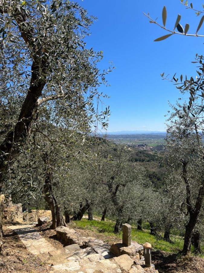 Campo Dei Lupi