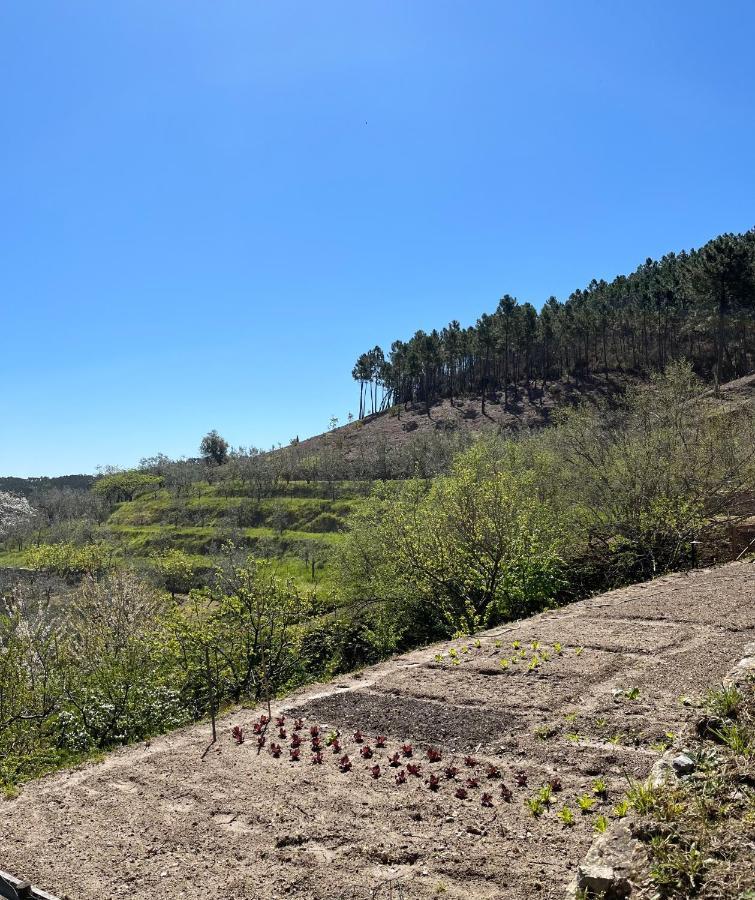 Casa de Férias Campo Dei Lupi *