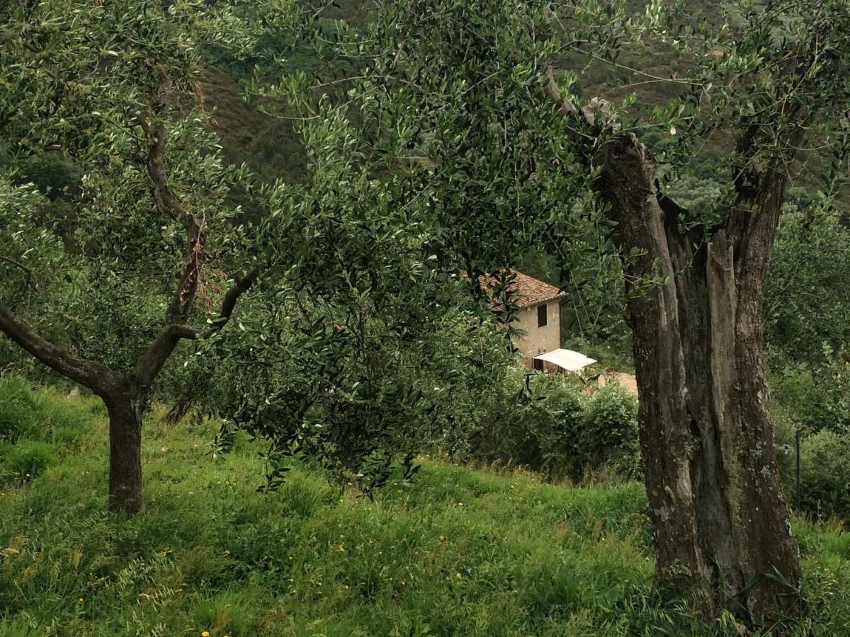 Casa de Férias Campo Dei Lupi *